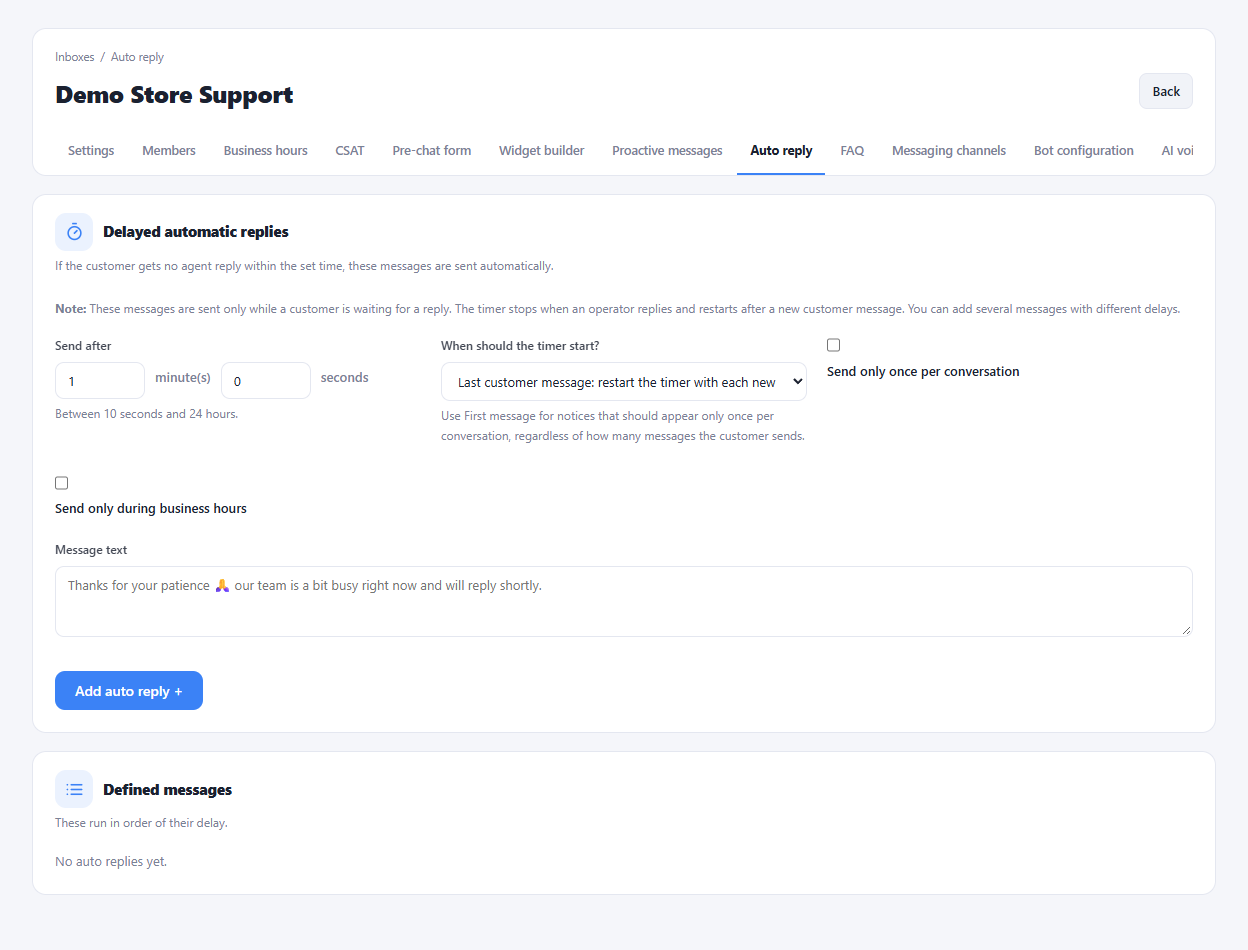Actual delayed automatic replies interface in a sample workspace